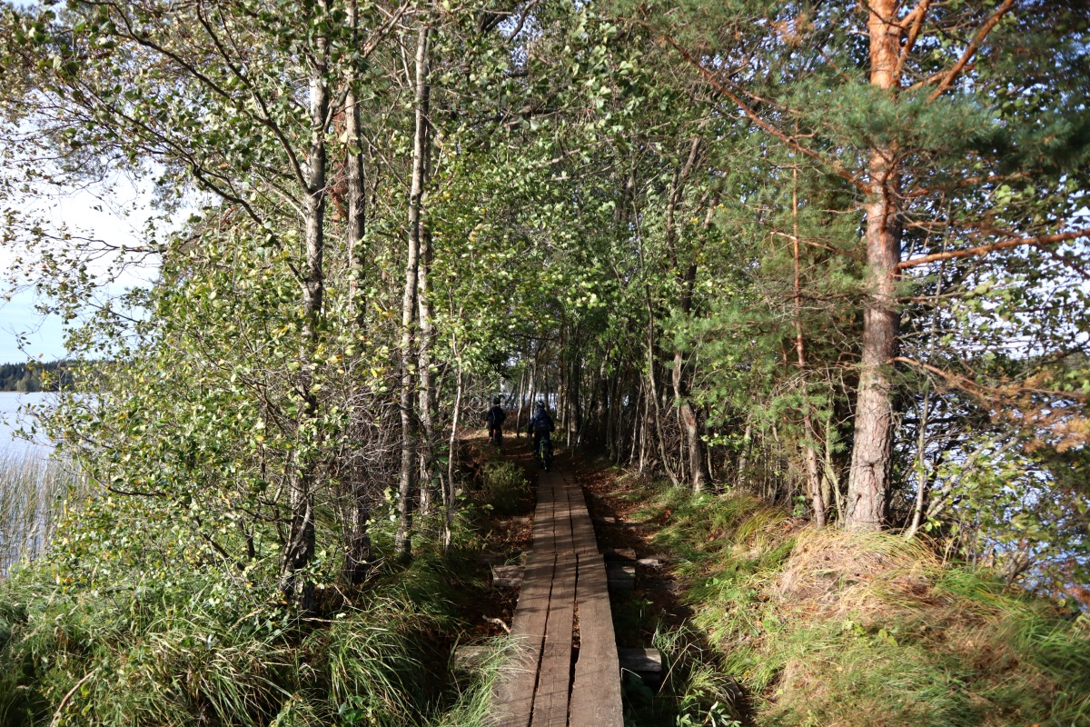 Pyöräilyä ja patikointia Liesjärven kansallispuistossa
