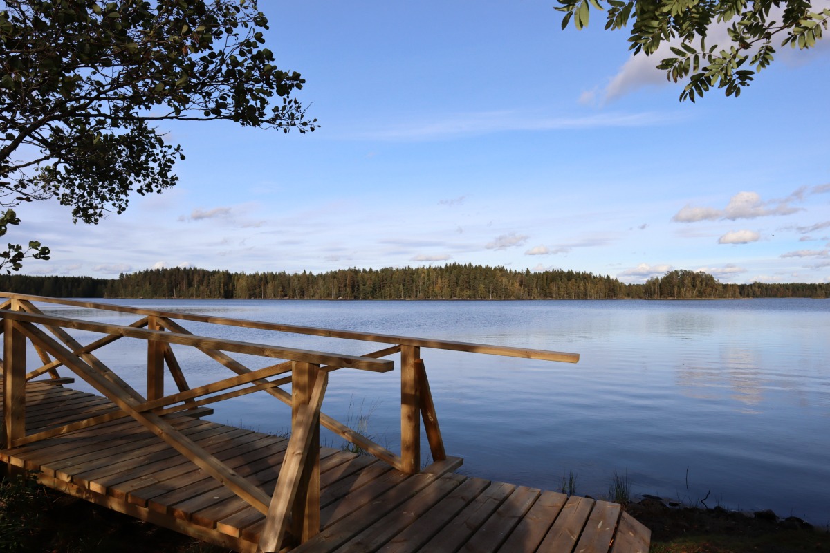 Liesjärven kansallispuisto