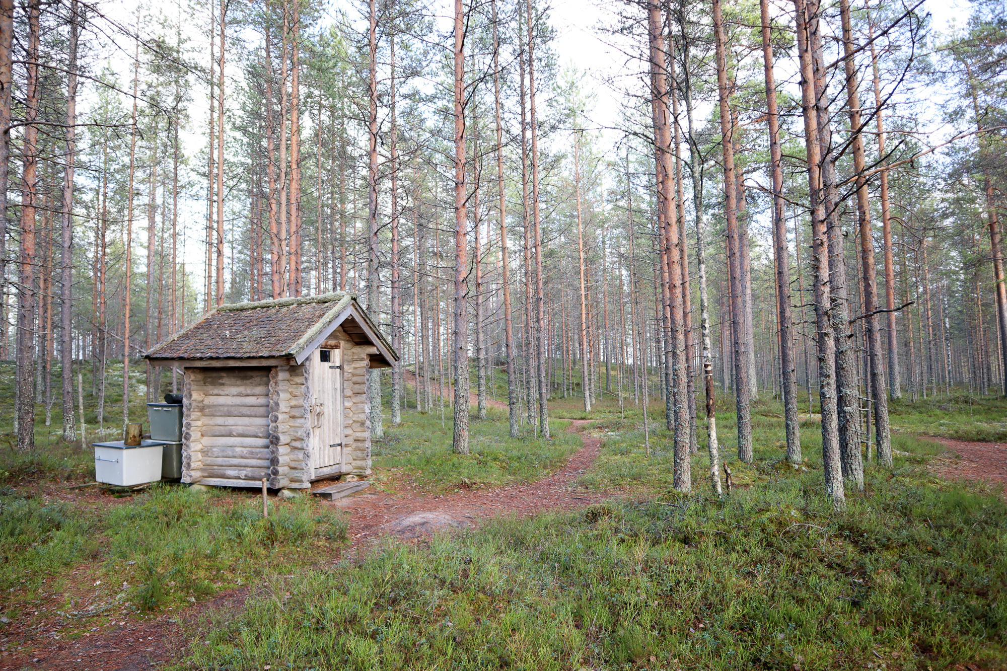 Tiilikkajärven kansallispuisto / Koseva