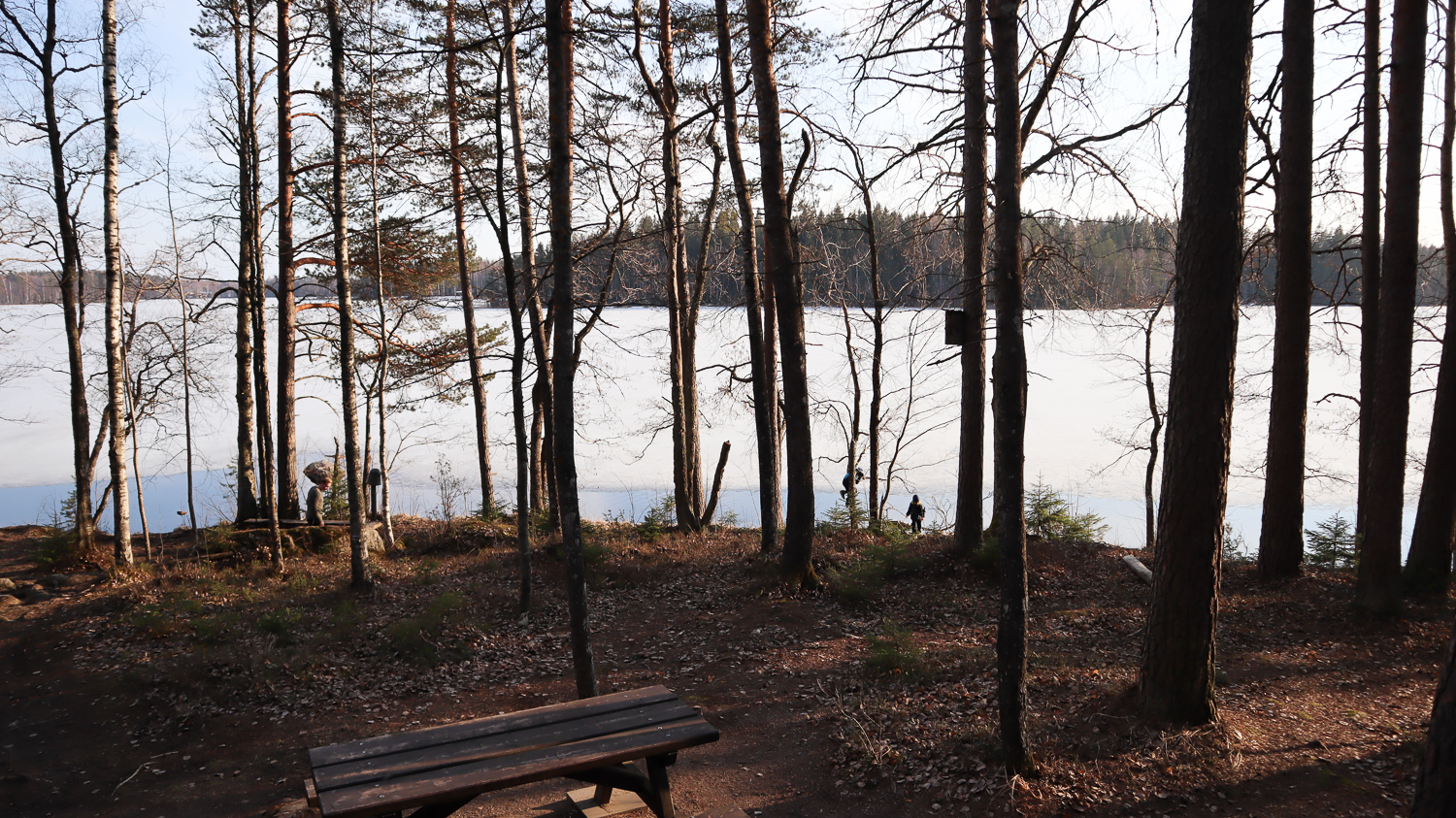 Liesjärven kansallispuisto / Hyypiön kämppä