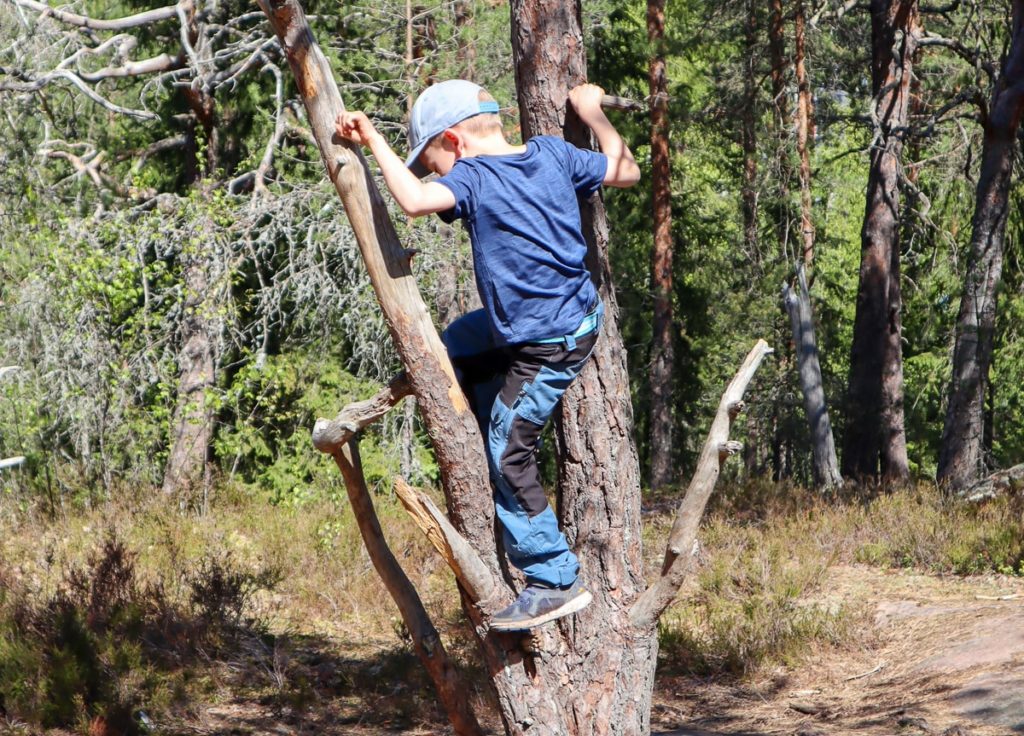 Metsätreeni / puuhun kiipeäminen