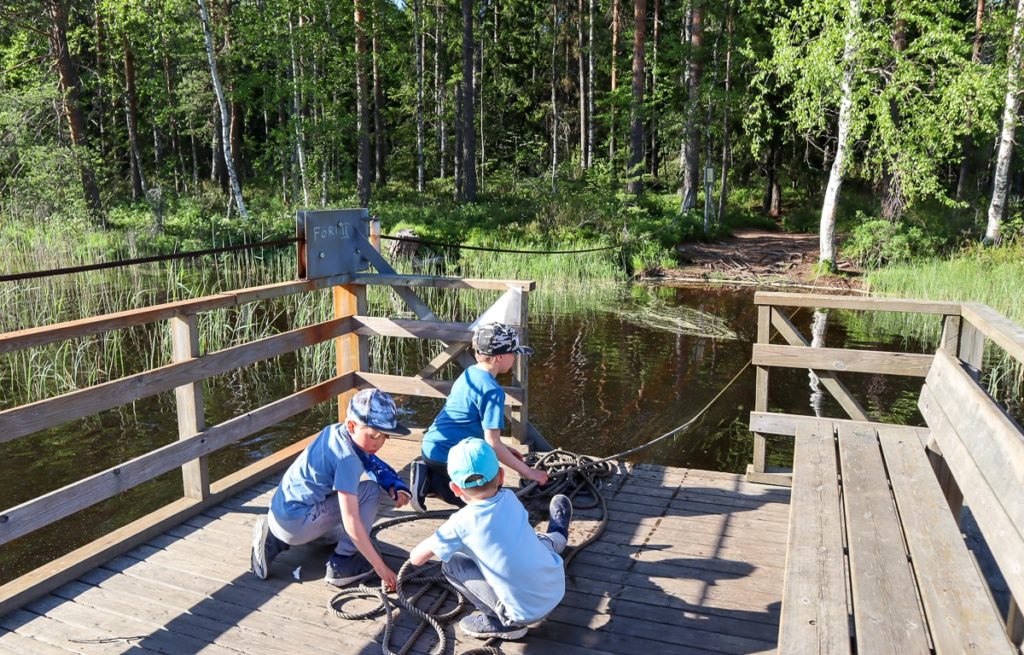 Ruostejärvi / vetolossi