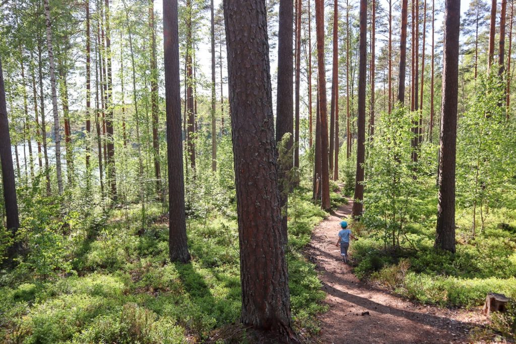 Meidän metsä -luontopolku Tammelan Ruostejärvellä