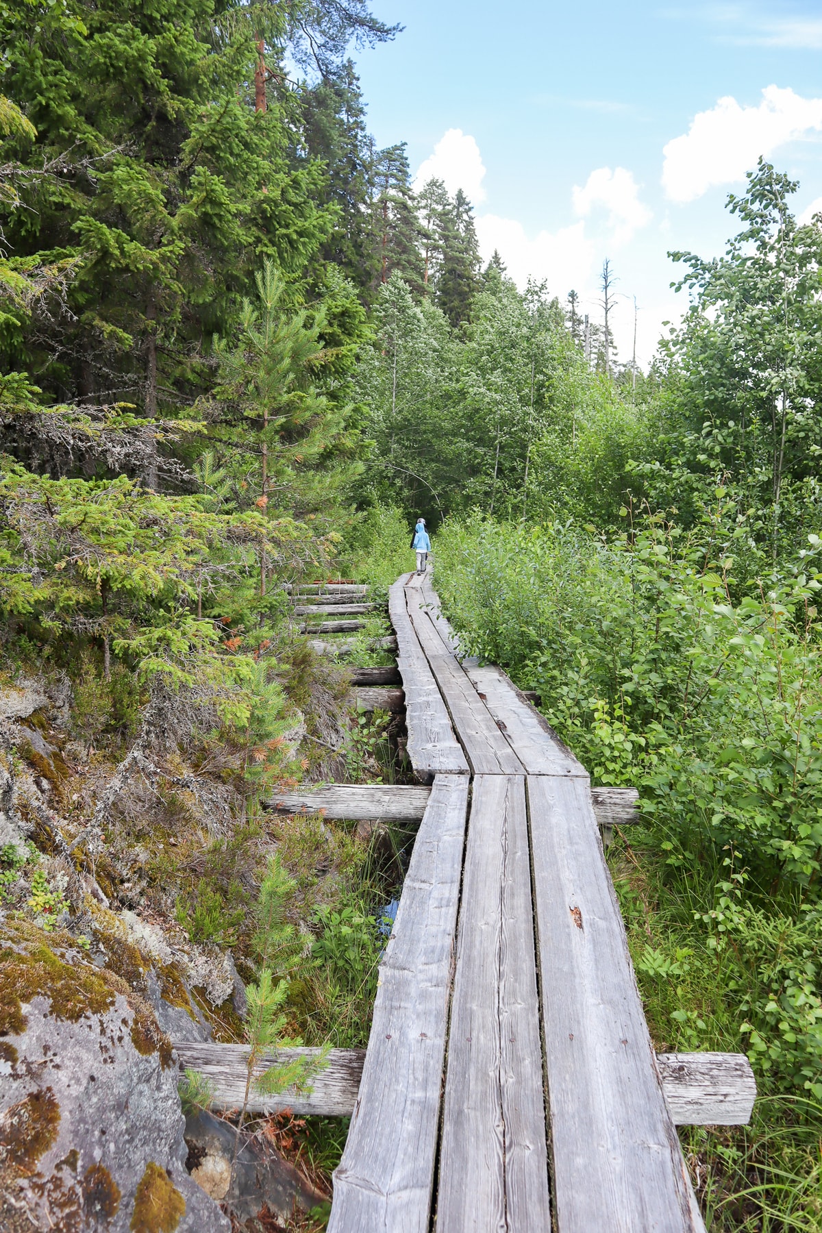 Majavapolku / Isojärven kansallispuisto