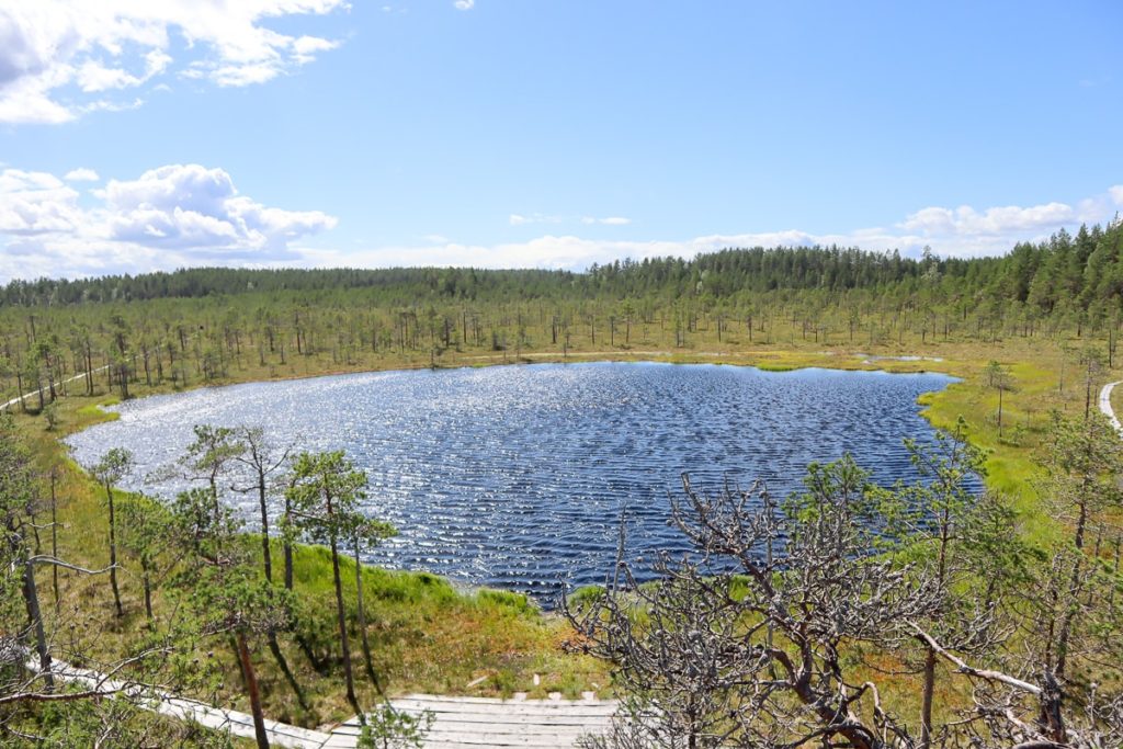 Kirveslammen kierros / Leivonmäen kansallispuisto
