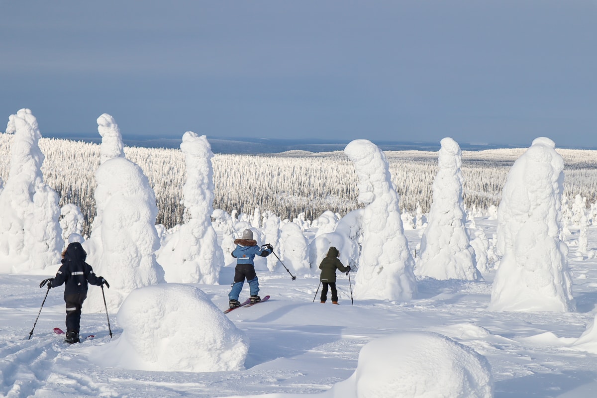 15 x kansallispuistot talvella – Mikä on oma suosikkisi?
