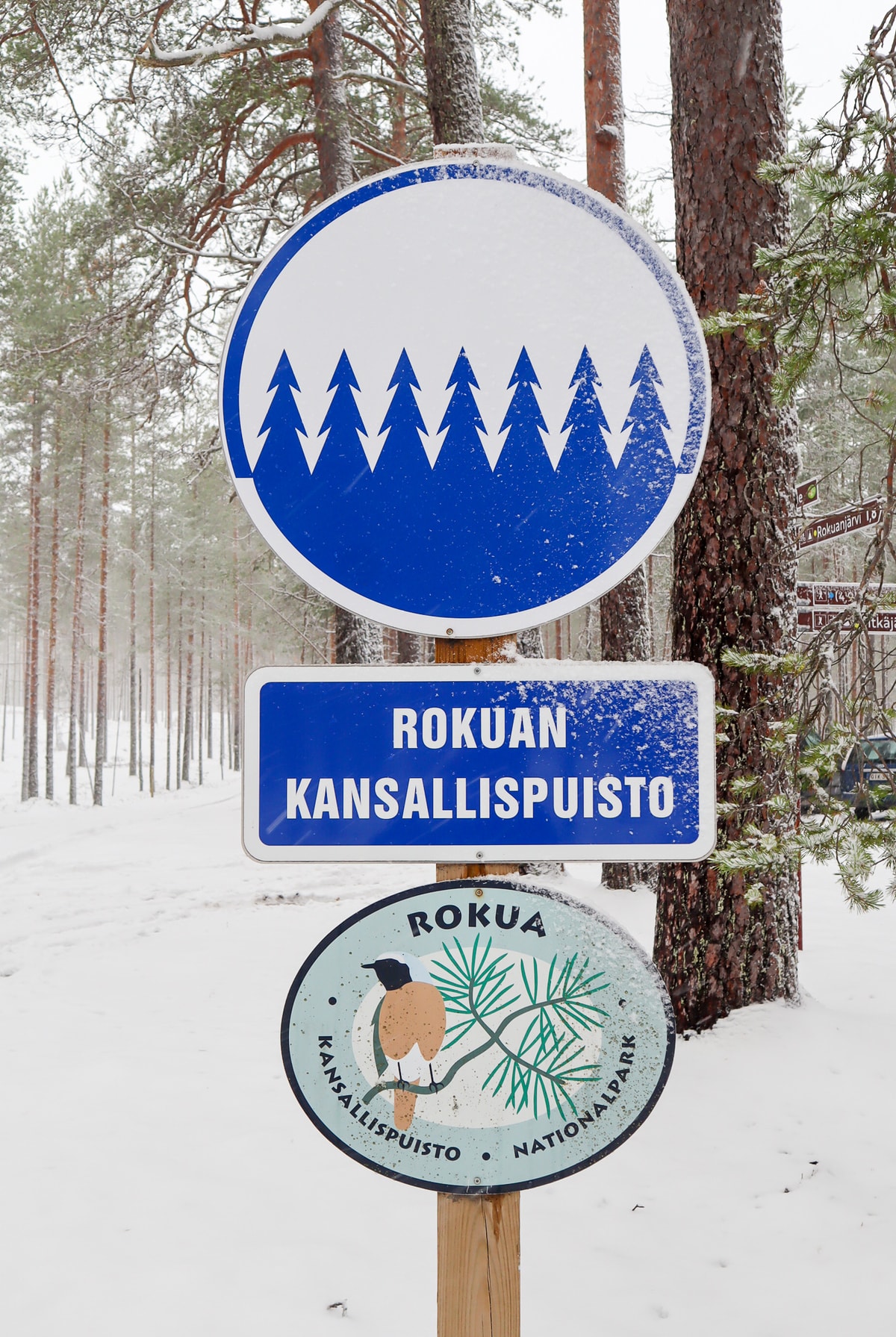 Rokuan kansallispuisto / Pitkäjärven pysäköintialue