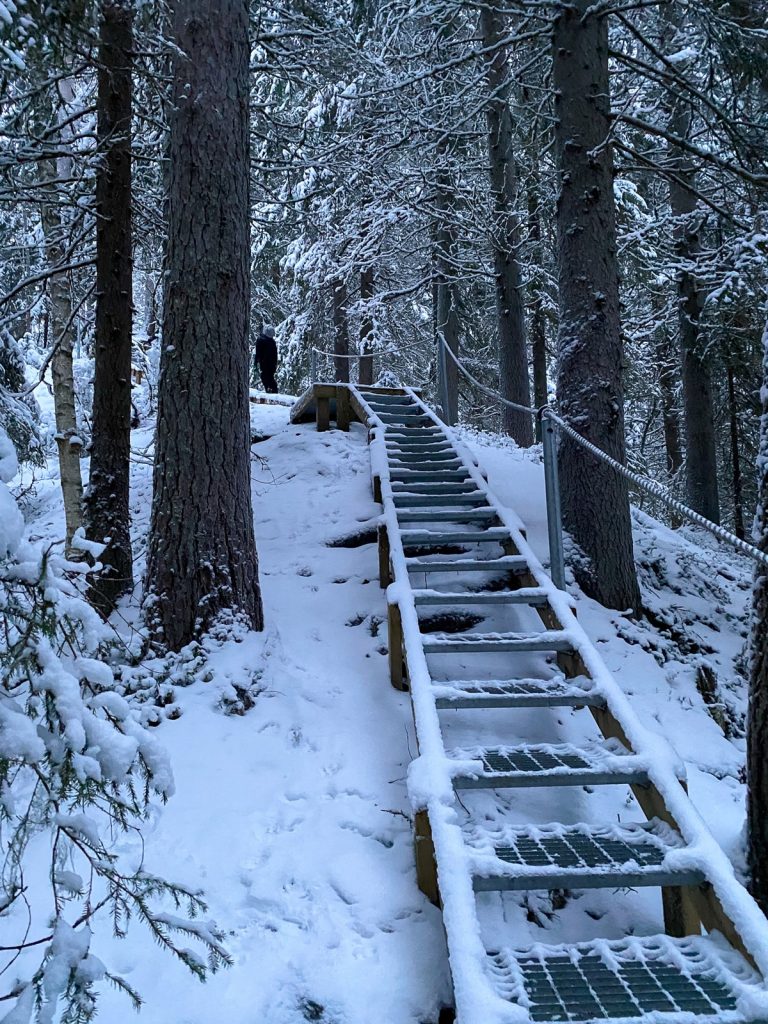Kansallispuistot talvella / Kauhaneva-Pohjankangas