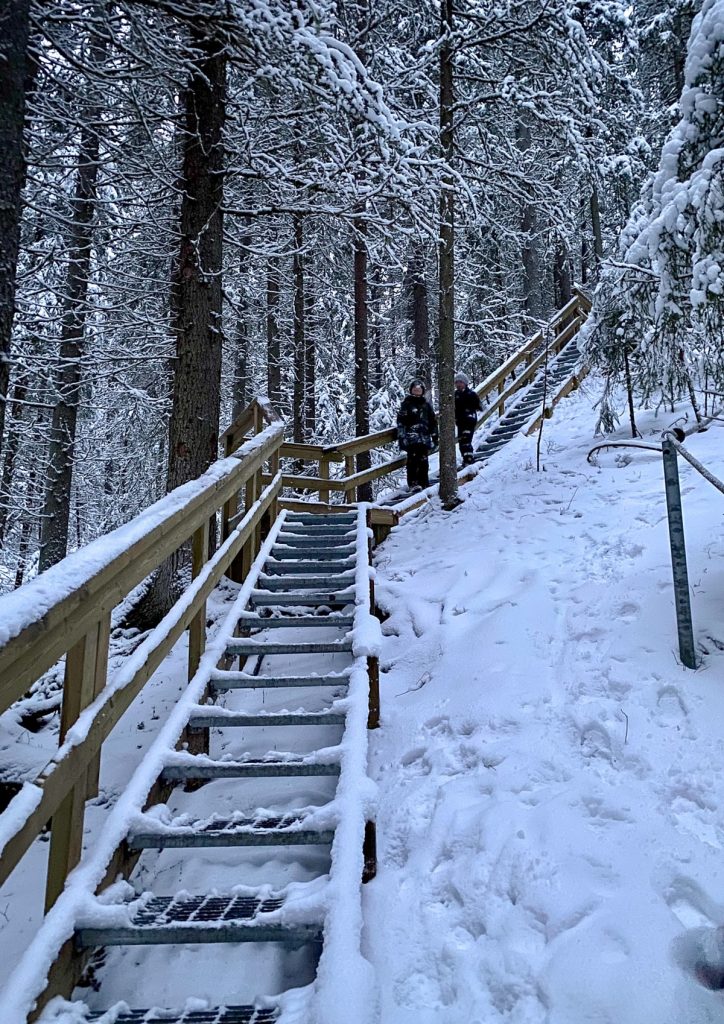 Kansallispuistot talvella / Kauhaneva-Pohjankangas