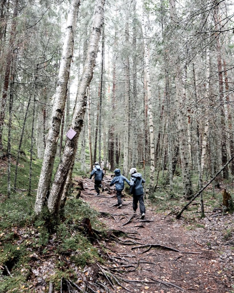 Retkiä / lähiretki